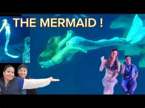 National Aquarium Denmark Real Mermaid Meet And Greet Youtube