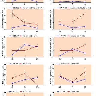 The Expression Pattern Of Mirnas And Their Targets In Hz Left And