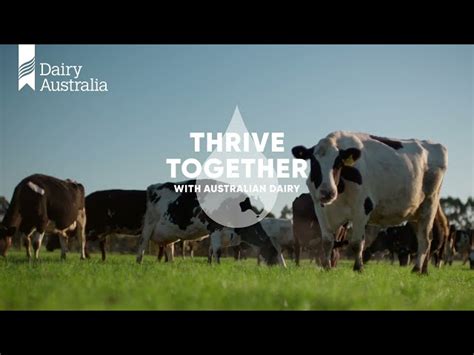 Thrive Together With Australian Dairy Delivering Quality Dairy All