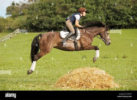 Connemara pony jumping hi-res stock photography and images - Alamy