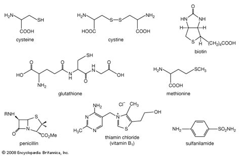 Thiolate | chemical compound | Britannica