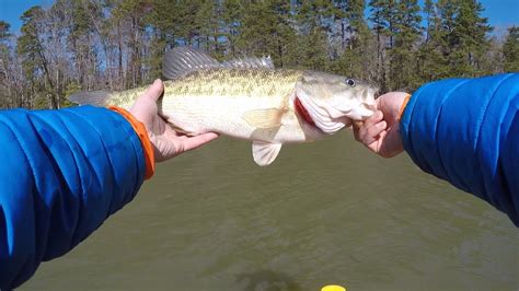 Lake Norman Late Winter Bass Fishing Youtube