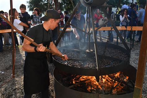 Festa Dei Marroni Di Combai Proloco Di Combai