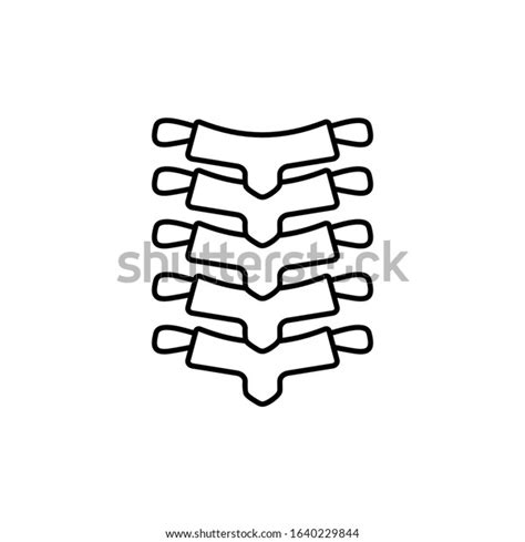 Anatomy Backbone Spine Icon Simple Line Stock Vector Royalty Free