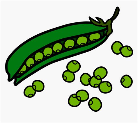 Green Beans Royalty Free Vector Clip Art Illustration Food Clip