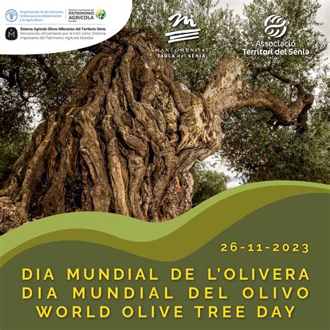 Congresos Olivos Milenarios Mancomunitat Taula Del S Nia