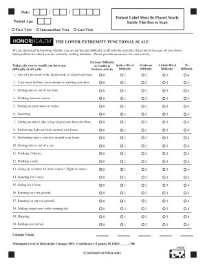 2015 2024 Form HonorHealth Lower Extremity Functional Scale Fill Online