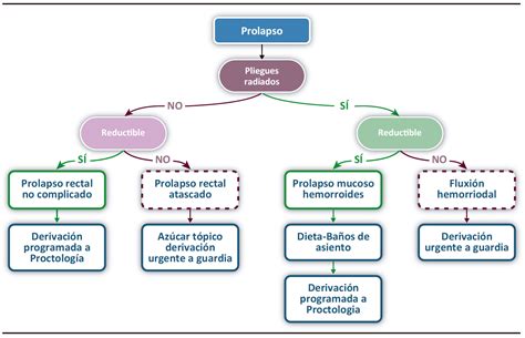 Patología anal en el consultorio un enfoque sindrómico para el diagnóstico