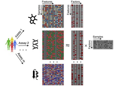 Multi‐omics Factor Analysis—a Framework For Unsupervised Integration Of