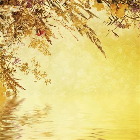 Premium Photo Holiday Background