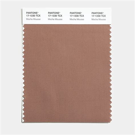 Pantone Mocha Mousse The Femin