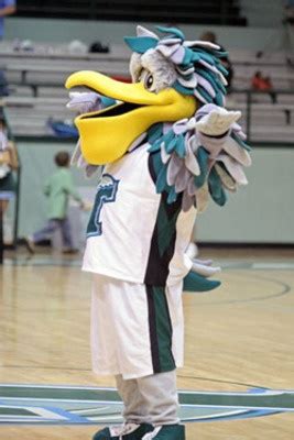 17 Best images about College Mascots: American (AAC) on Pinterest ...