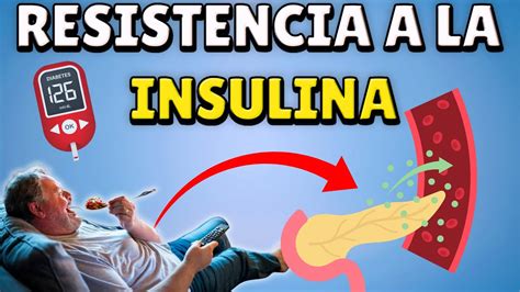 El Umbral De La Diabetes Resistencia A La Insulina Youtube