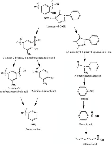 The Biodegradation Pathway Of The Acid Dye Lanaset Red Ggr Download