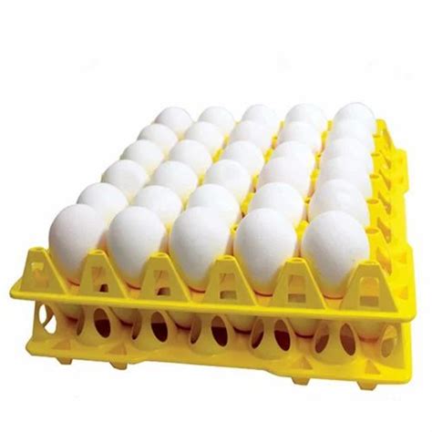 Poultry Eggs Khaki Campbell Duck Eggs Duck Egg Farm Muzaffarpur