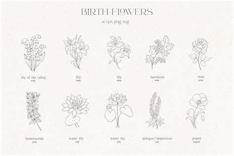 Line Art Birth Flowers