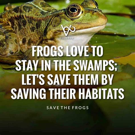 Save Wetlands Archives