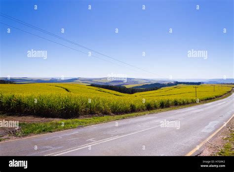 Valley Of A Thousand Hills Landscape Tarmac Road Along Hills South