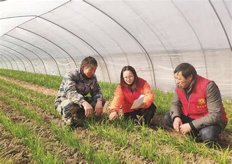 南谯区：产业帮扶助力乡村振兴滁州新闻滁州资讯