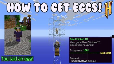 How To Get Eggs Hypixel Skyblock Guide Youtube