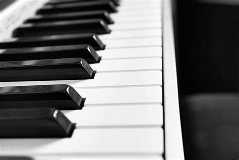 Piano Keys Black And White - Free photo on Pixabay - Pixabay