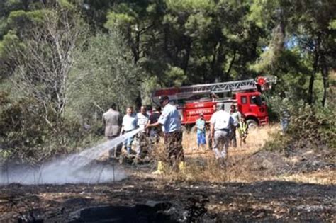 Manavgat ta Orman Yangını Haberler