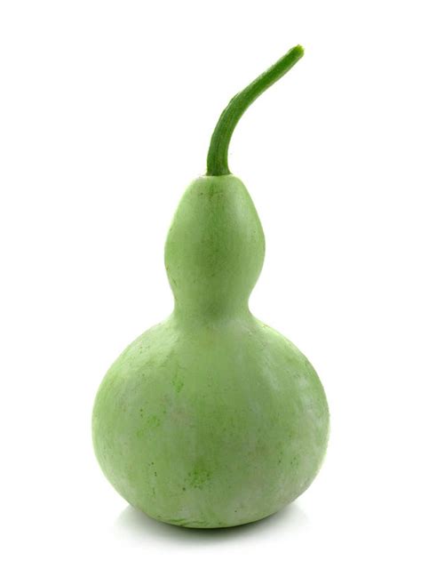 10 Seeds Bottle Gourd Ornamental Dried Gourds Are Perfect Etsy