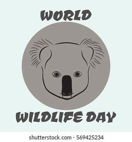 International Wild Koala Day Images Stock Photos Vectors