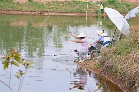 水庫釣大鯉魚，很多人都不知道的好辦法，分享給大家！ 每日頭條