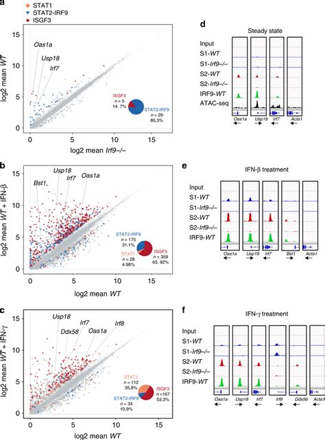 Ifn Induced Gene Expression And Stat Complexes In Bmdm A C Panels On