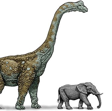Leviathan Dinosaur Bible