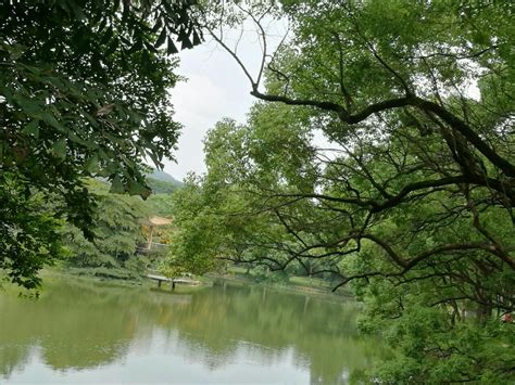 【携程攻略】中国科学院华南植物园门票 广州中国科学院华南植物园攻略 地址 图片 门票价格