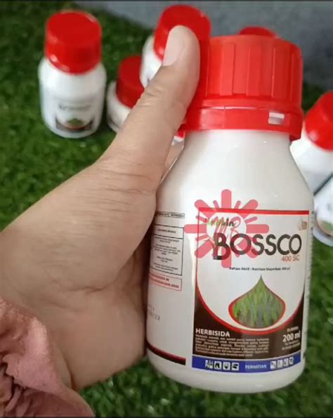 Pestisida Herbisida Bossco 400sc 100ml Dan 200ml Pembasmi Gulma