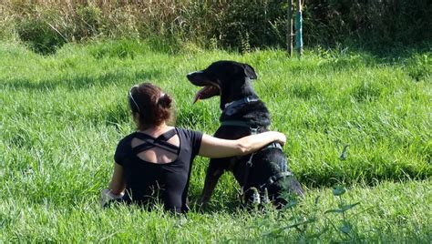 The Unacknowledged Mourning For Our Animal Friends World Today News