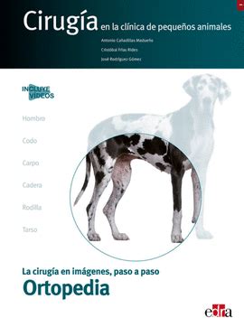 CIRUGIA EN LA CLINICA DE PEQUEÑOS ANIMALES ORTOPEDIA San Cristobal