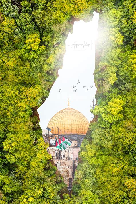 The Most Beautiful Picture Of The Map Of Palestine