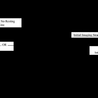 Diagnostic evaluation algorithm for women presenting with suspected IHD... | Download Scientific ...