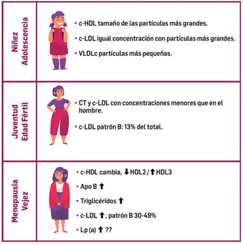 Prevención Primaria De Enfermedad Cardiovascular En La Mujer Medecs