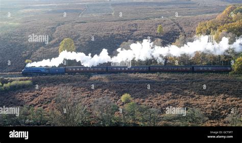 Steam Engine Sir Nigel Gresley Stock Photo Alamy