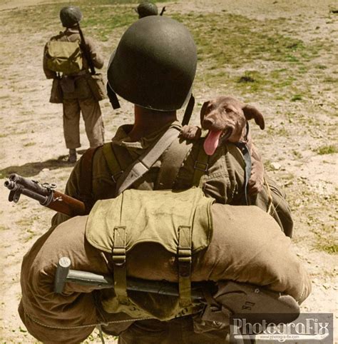 Pin on Greatest Generation WWII