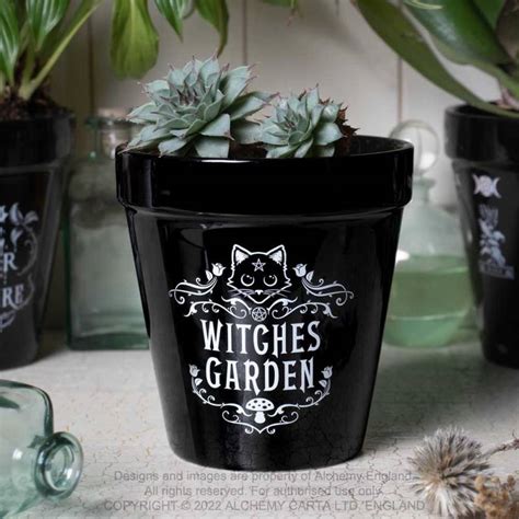 Witches Garden Plant Pot Gpp Plant Pots Alchemy England