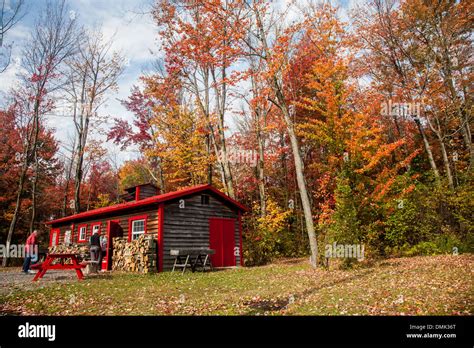 La Petite Cabane à Sucre De Québec Maple Products Quebec City And Area