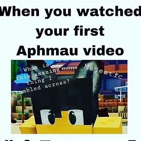 My Favorite Aphmau Memes Aphmau Aphmau Memes Aphmau Wallpaper Images