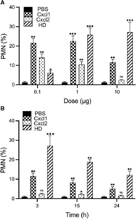 Neutrophil Recruitment Of The Cxcl1 Cxcl2 Heterodimer HD Peritoneal