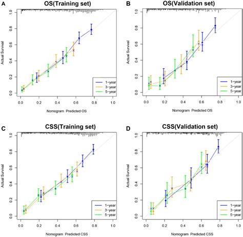 Calibration Curve Of The Nomograms For Predicting 1 3 5 Year OS And