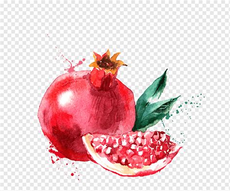 Pintura Em Aquarela Desenho Frutas Pintura Alimentos Naturais Fruta