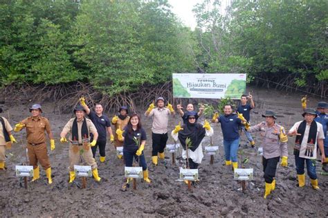 FIFGROUP Tanam 500 Mangrove Di Hutan Mangrove Langsa Aceh Media