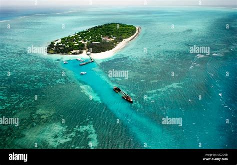 Luftaufnahme Von Heron Island Eine Der Südlichsten Korallenbänken Des