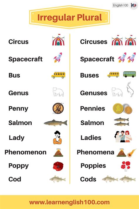 Mastering Irregular Plural Nouns In English Your Essential Guide