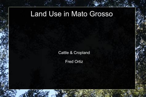 Pdf Land Use In Mato Grosso Jenningsplanet Files Wordpress